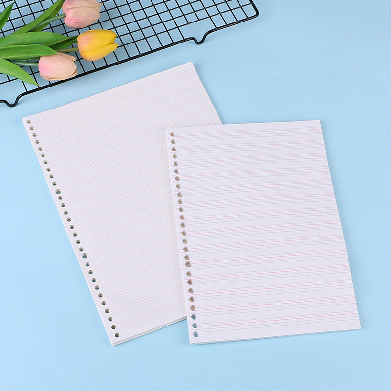 A4 A5 B5 Notebook Journal Medi - Notebook Dotted A5 recension och pris